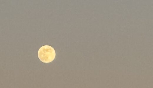月が綺麗です