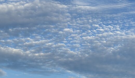 涼しそうな空なのに