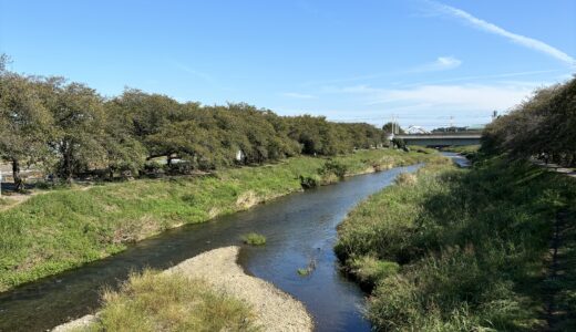 いつもの川原散歩🚶‍♀️