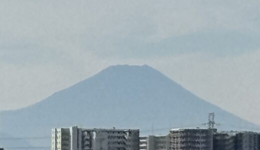 富士山が見えた