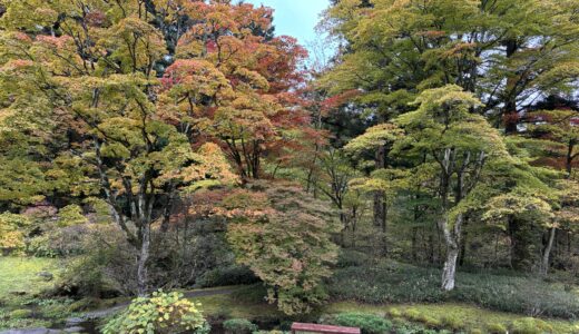 日光旅🍂田母沢御用邸記念公園〜小杉放庵記念美術館