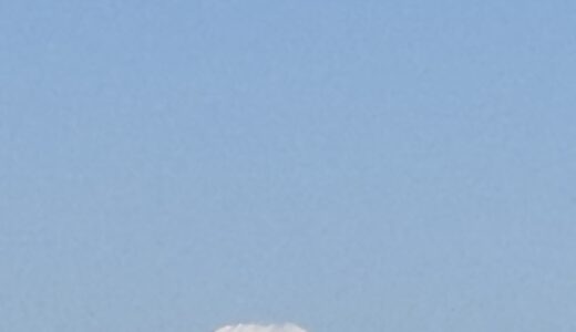 ポカポカ陽気♡