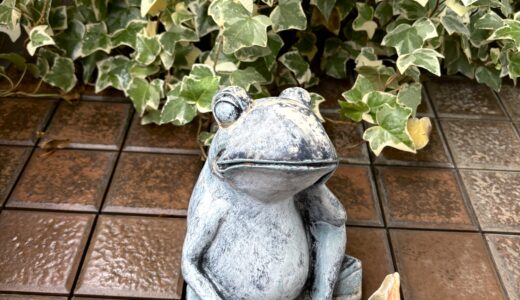 ”バウさんと風さん”でしあわせな毎日